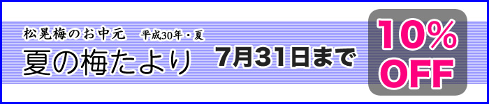 夏の梅たより お中元 10%OFF