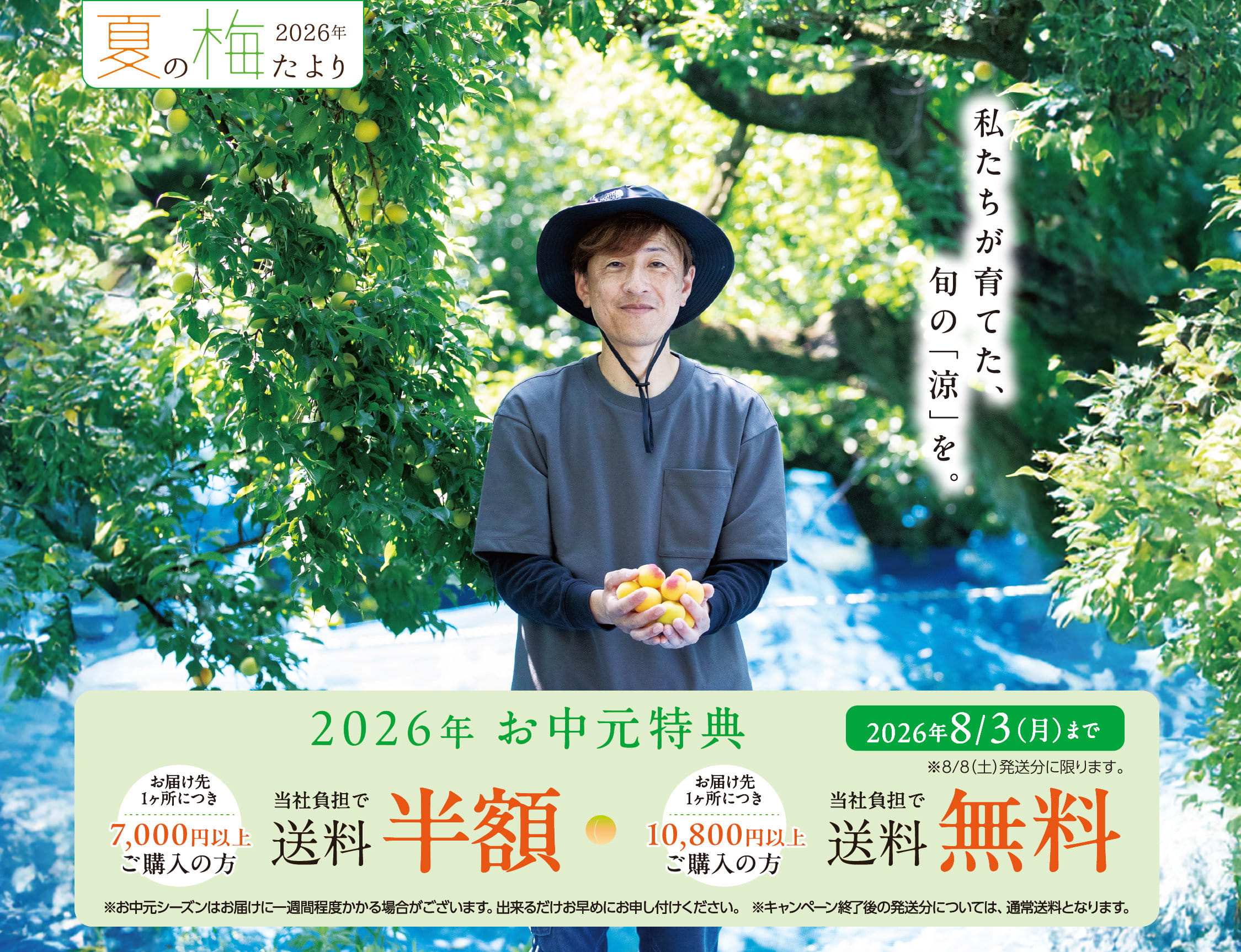 夏の梅だより2026年｜私たちが育てた、旬の「涼」を。/ 2026年お中元特典: 2026年8月3日(月)まで ※8/8(土)配送分までに限ります。｜お届け先1ヶ所につき7,000円以上ご購入の方、当社負担で送料半額 & お届け先1ヶ所につき10,800円以上ご購入の方、当社負担で送料無料｜※お中元シーズンはお届けに一週間程度かかる場合がございます。出来るだけお早めにお申し付けください。 ※キャンペーン終了後の発送分については、通常送料となります。
